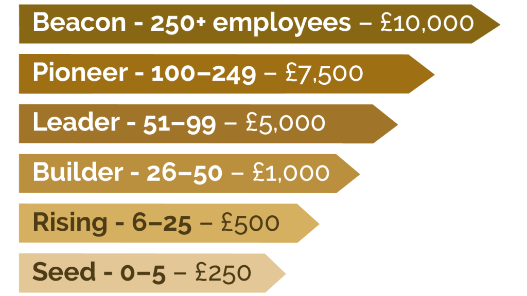 BBL Investment Tiers Local Impact Award